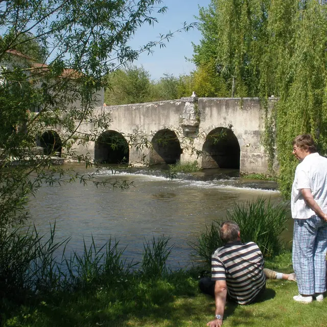 pont du moulin