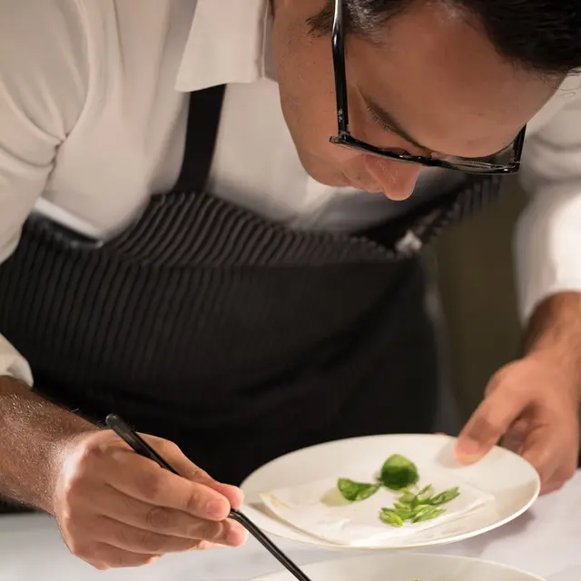 platting-4282016_1280