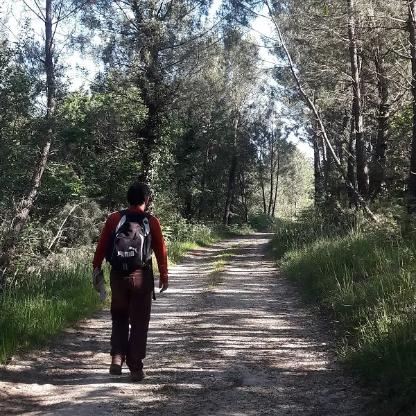 randonnee-promenade-du-bost-st-severin-d-estissac