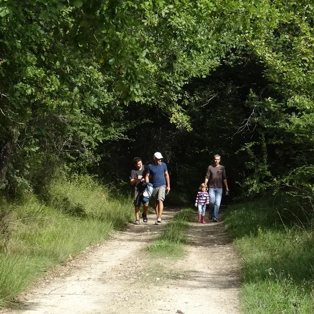 randonnée vallée de l'Isle - Copie