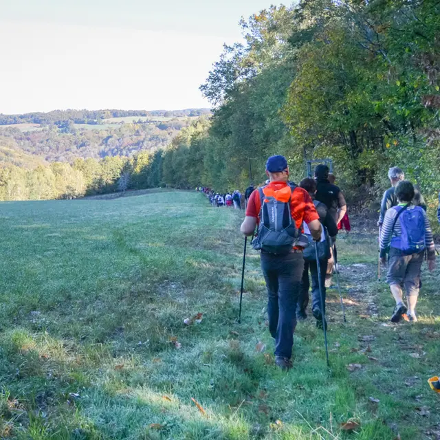 rando-auvézère-automne (1)