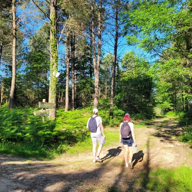 rando boucle de la Lande Chantérac