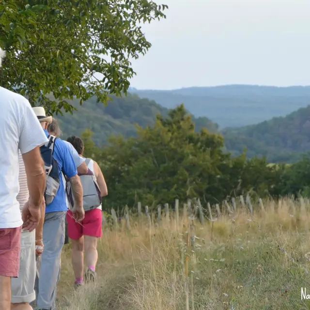 rando-gandumas-signee