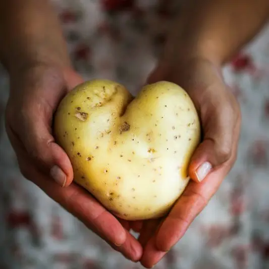 rebeca-g-sendroiu-2YSyYMaD3vA-unsplash©rebeca sur unsplash