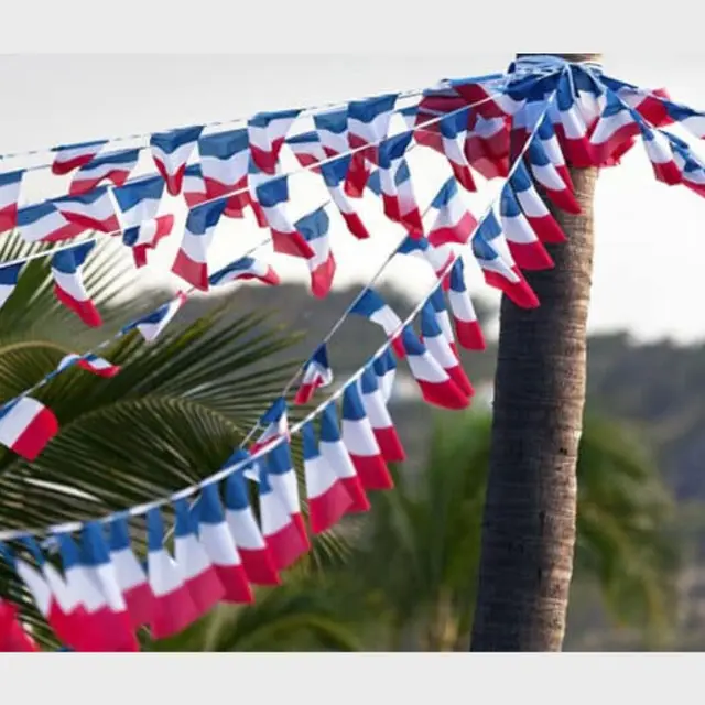 repas 14 juillet faux (1)