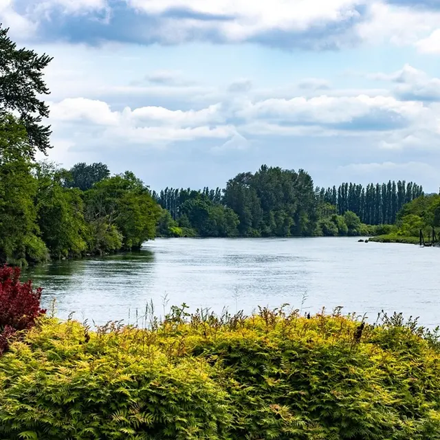 river-8018379_1280