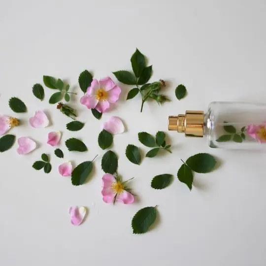 scent-of-roses©Monfocus de Pixabay