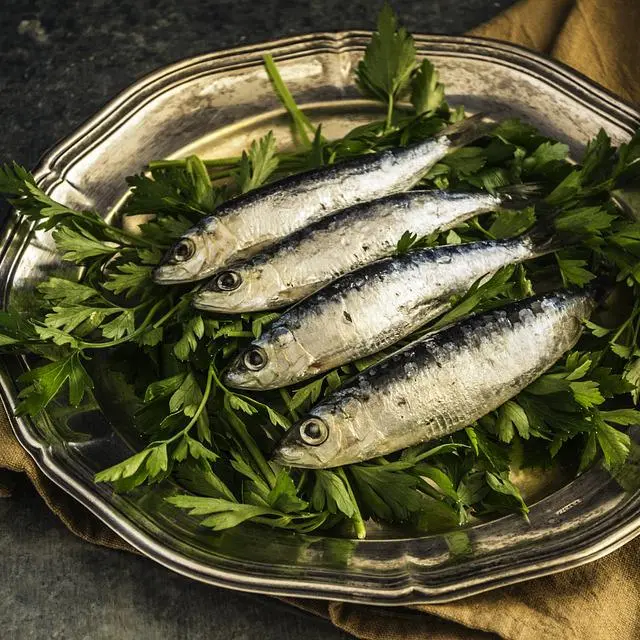sardines-1468422_960_720