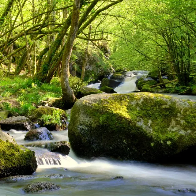 saut du chalard 05.08 056