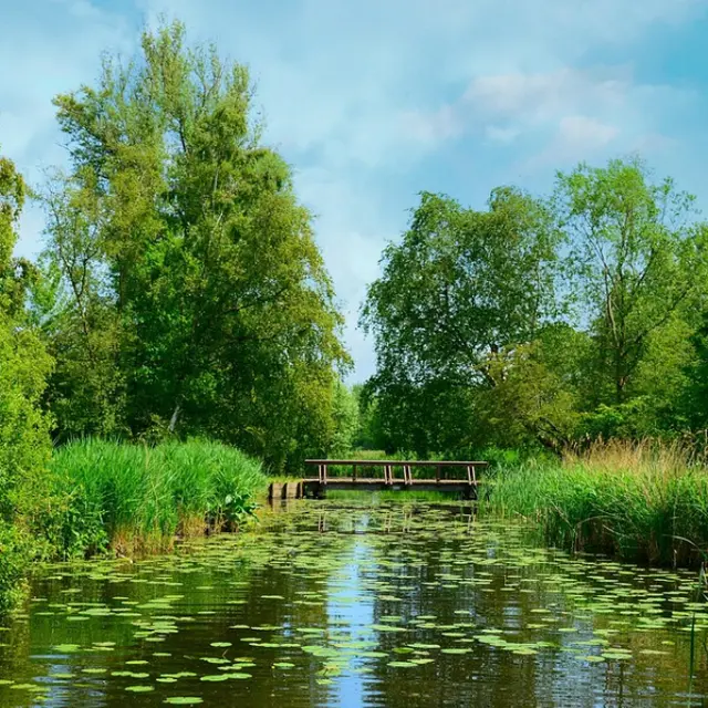 sentier_faurissou
