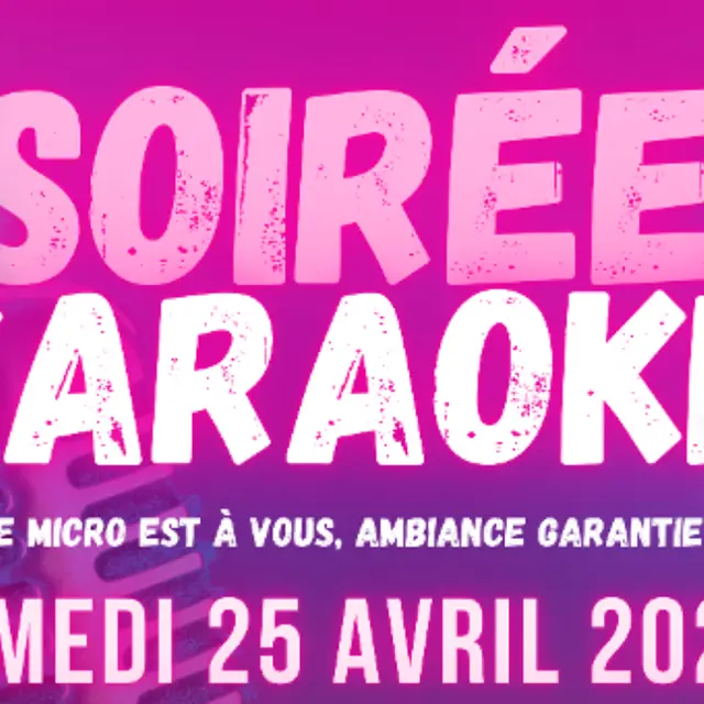 soirée karaoké 2