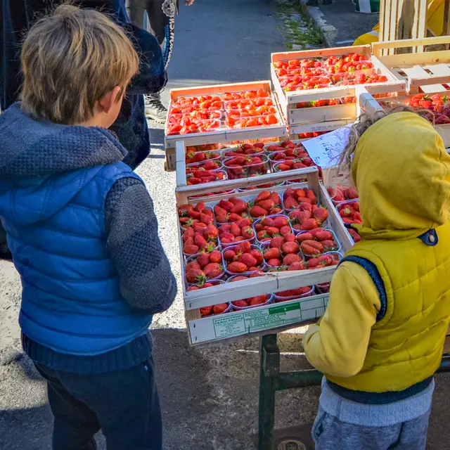 st-vincent-marché (24)