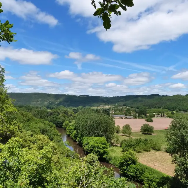 st leon sur vezere (4)