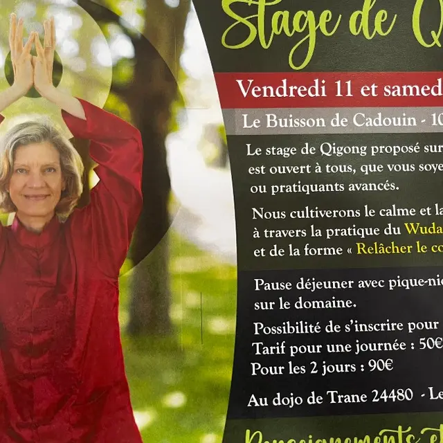 stage qi gong