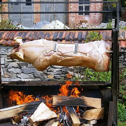 suckling-pig-208102_640