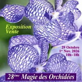 400x400-202602096989e1a5d0608