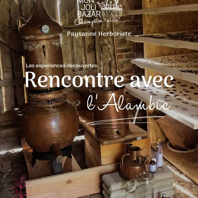 Atelier alambic 01 Bézu 08 25