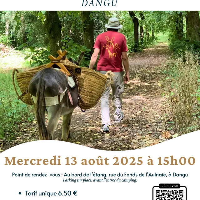 Balade découverte de l'âne Dangu 13 08 25