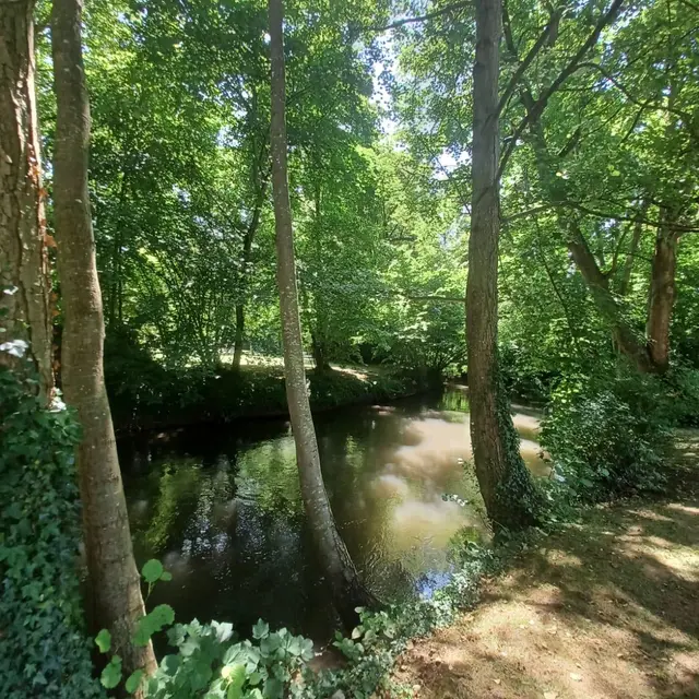 Cours d'eau parc environnemental Frédéric Passy © Virginie BOUFFAY