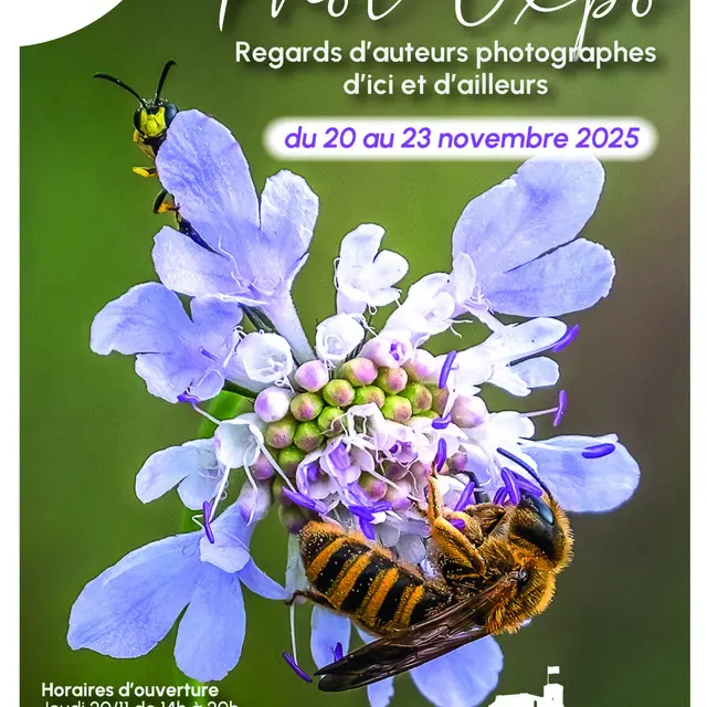 Exposition photos Gisors 20 23 11 25