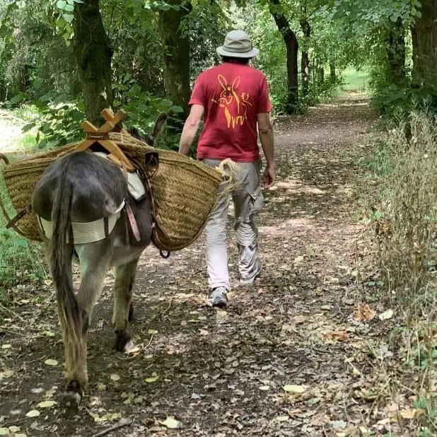 L'âne à Gilles Balade contée avec un âne ©Gilles Lemaire