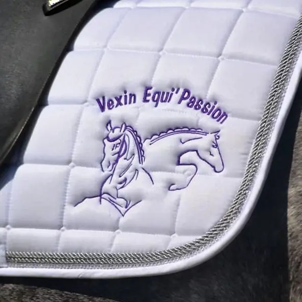 Logo Vexin Equipassion