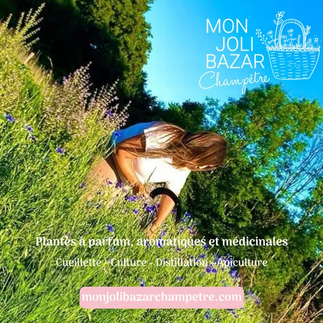Mon Joli Bazar Champêtre 2