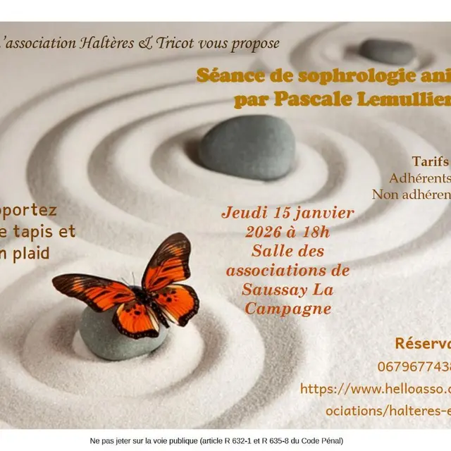 Séance de sophrologie Saussay-la-Campagne 15 01 26
