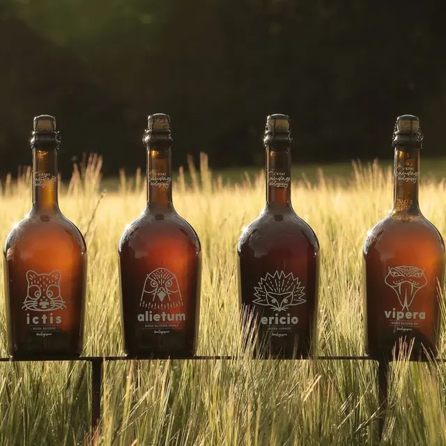Ensemble gamme de bières x4 paysage