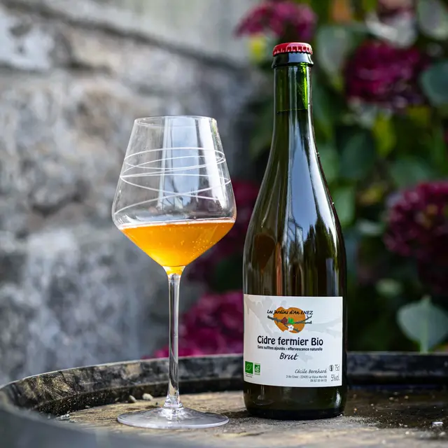 457591060_530821276179417_1013167734114482620_n