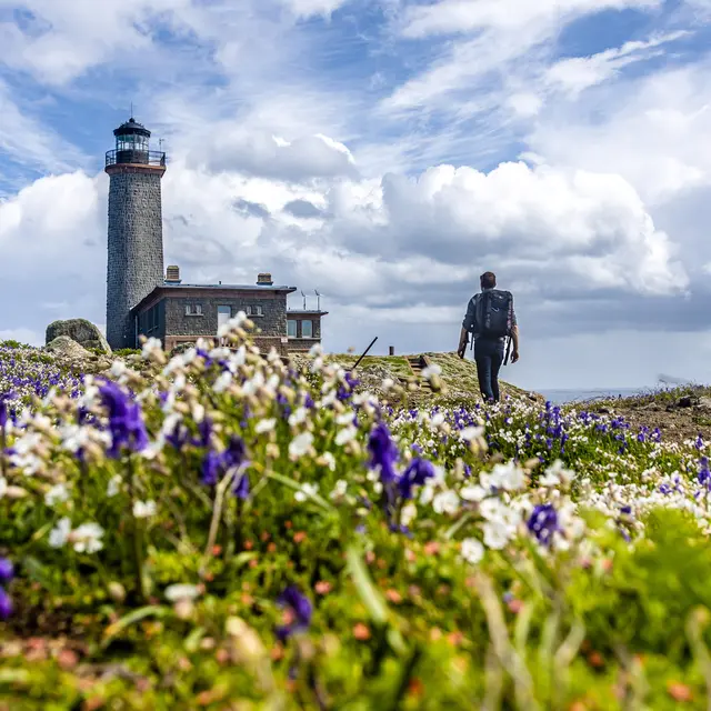 Phare de l'île aux Moines