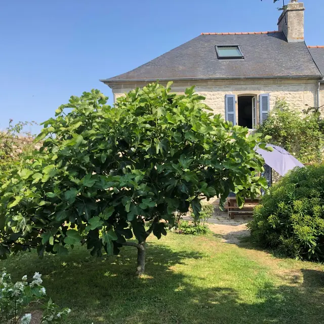 Location Le Presbytère - M. GARNIER Pierre - Treffiagat - Pays Bigouden