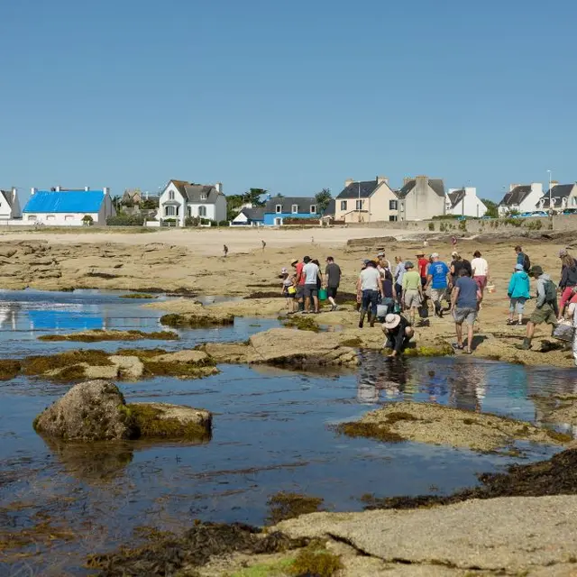 Découverte des algues et cuisine aux algues -Guilvinec - Lesconil -Pays bigouden