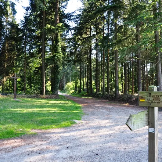 ©S Ramé-Prunaux - Bois communal et croix des Landes Epiniac