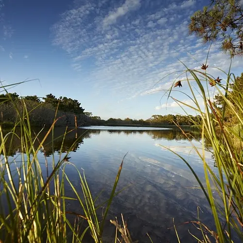 Marais de Mousterlin