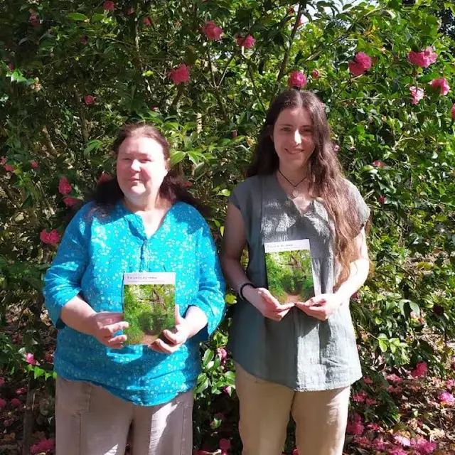 Dédicae - Vide jardin - Tréméoc - Pays bigouden