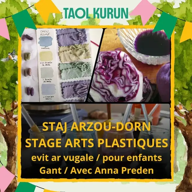 01-24 Stage arts plastique