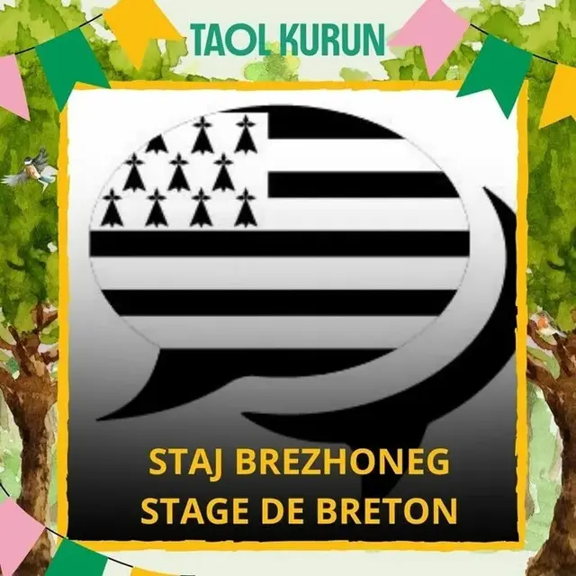 01-31 Stage de breton