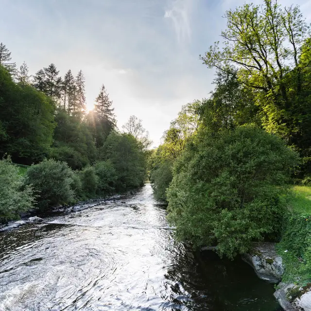 02-Kernansquillec -01