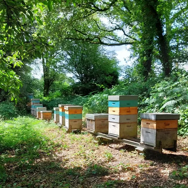 La miellerie du cheval de bois - Plomeur - Pays bigouden