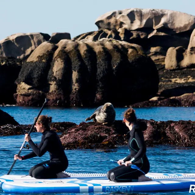 Les enfants de la côte