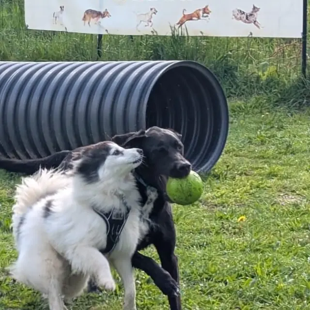 Apprentissages par le jeu