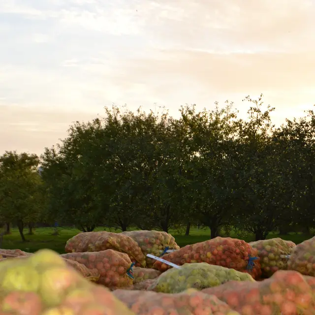 Cidrerie de Ménez Brug