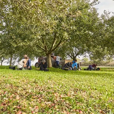 Domaine de Kerveguen