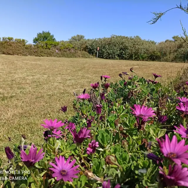 Camping Municipal Beg Ar Vilin (Plougrescant) | Office de Tourisme de la  Cte de Granit Rose
