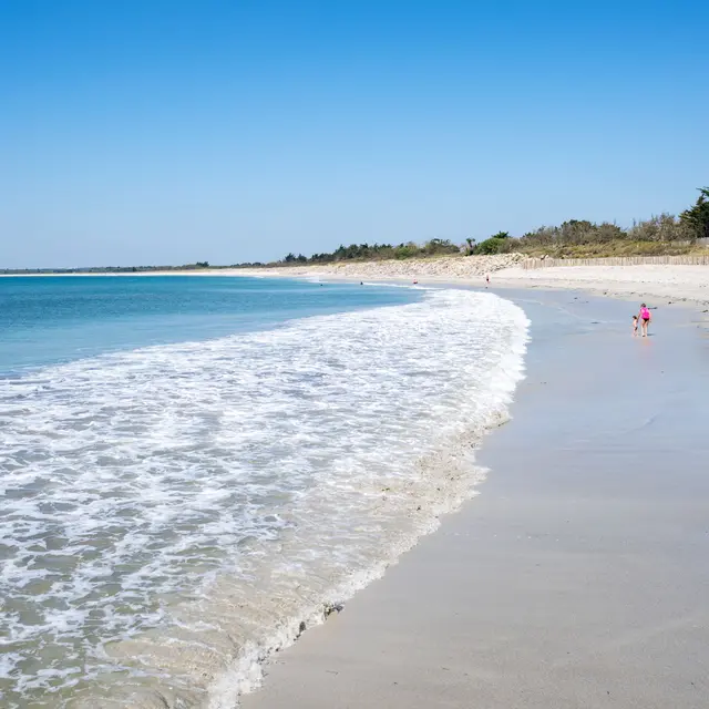 2025_0409_Bretagne_Finistère_Fouesnant_Earth_DSC09507_RLe