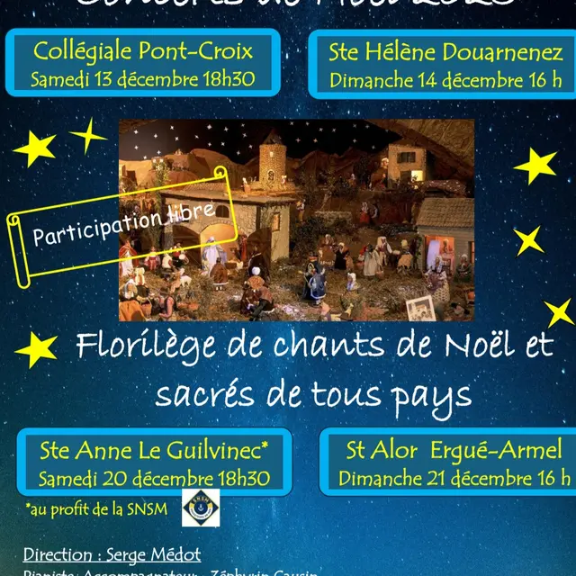 Affiche concerts de Noel Da Capo