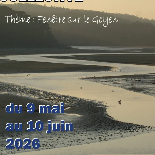 Expo collective mairie Plouhinec