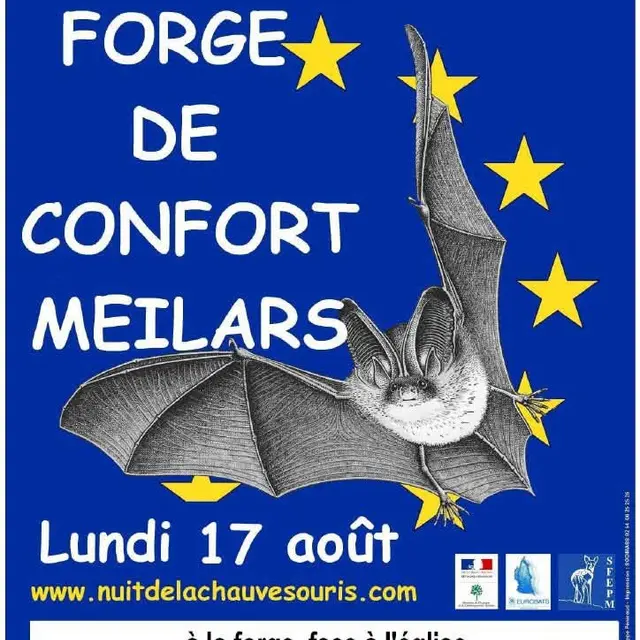 2026_08_17 nuit de la chauve souris Confort