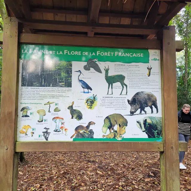 Circuit la Fontaine et le Gourret  Landudec - Pays Bigouden